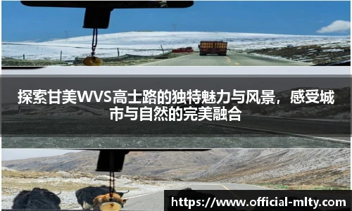 探索甘美WVS高士路的独特魅力与风景,感受城市与自然的完美融合